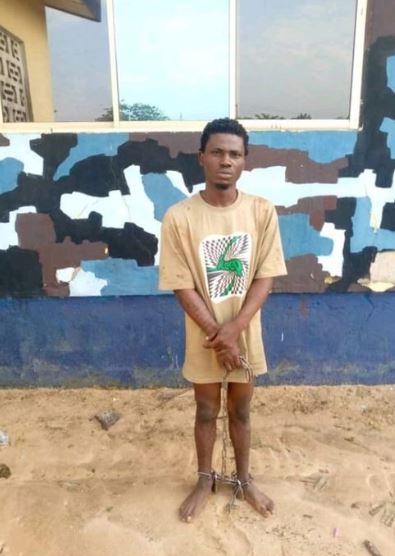 Man in Delta murders his girlfriend with a machete over an iPhone.