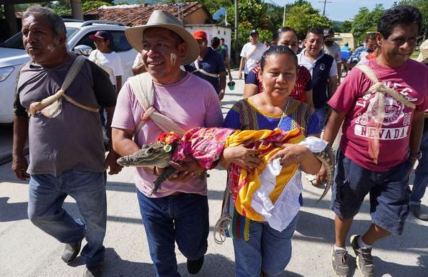 In front of guests, a man marries an alligator dressed in a white wedding gown and kisses it.