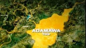 In Adamawa, a prayer consultant defrauds an accountant of N277,000.