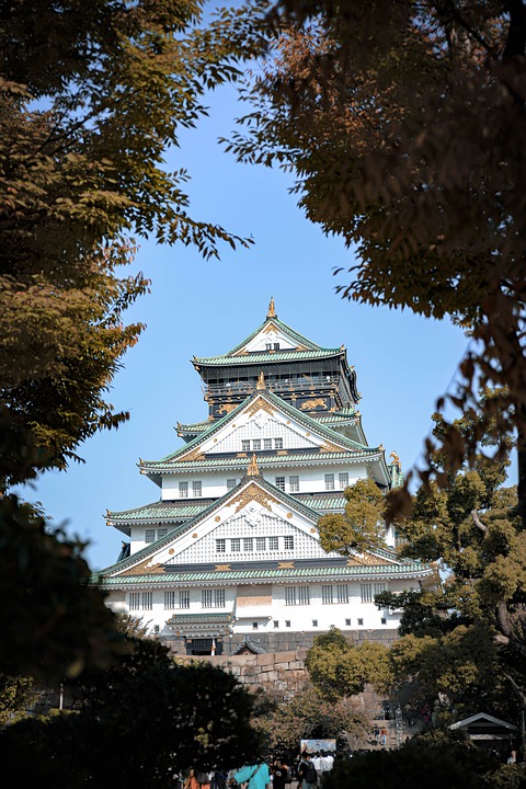 How To Apply And Get Scholarship In 2023