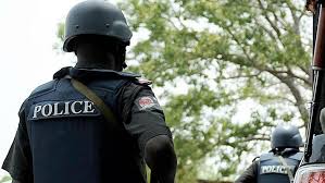 Lagos logged 111 Defilement Cases in Three Months, According to Police