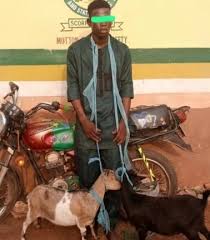 Man Arrested at his Child Naming Ceremony For Stealing Three Goats in Ogun Church