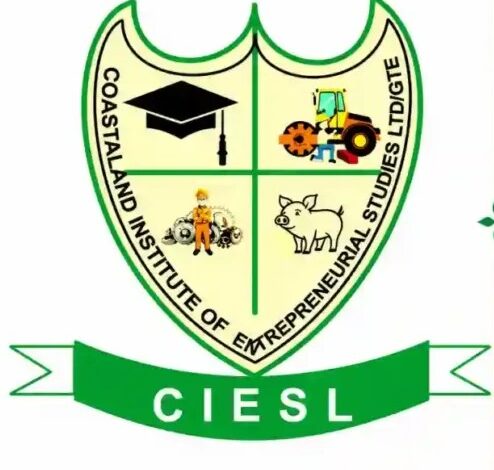 Institute Introduces Nationwide Skills Training and Startup Support Plan for 1,000 Youths in Each State.