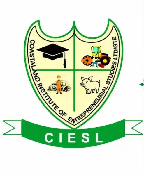 Institute Introduces Nationwide Skills Training and Startup Support Plan for 1,000 Youths in Each State.