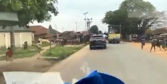 In Ekiti, a viral bread giveaway sparks new concerns about vote-buying (Video).
