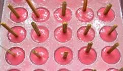 Niger State Council closes factories as flies are discovered in ice cream.
